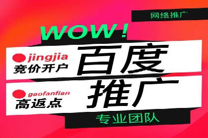 百度竞价包年案例：成功案例展示